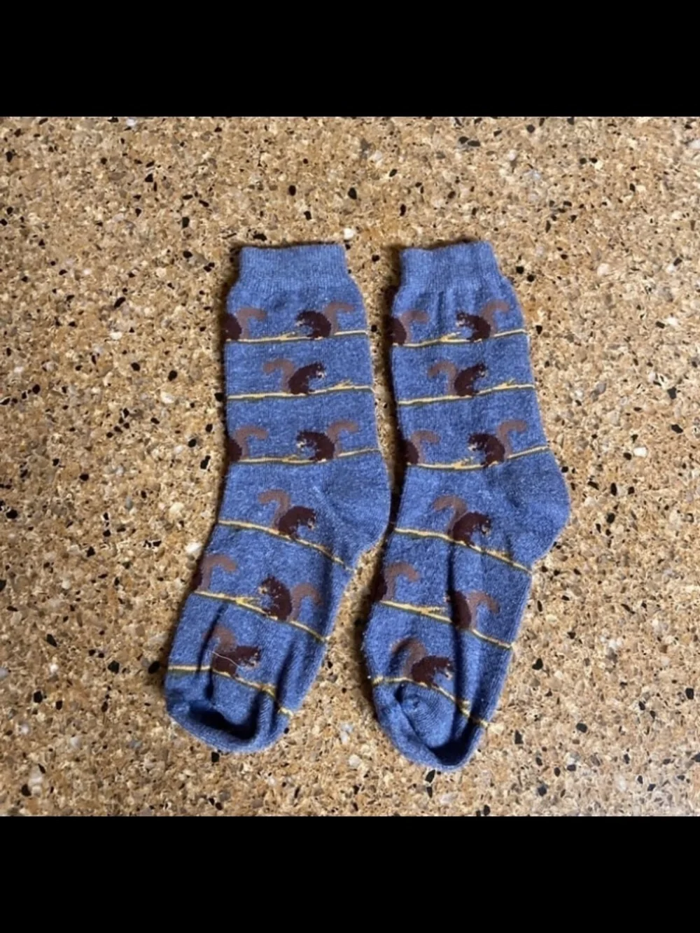 Women’s Squirrel Socks - 4 Pairs